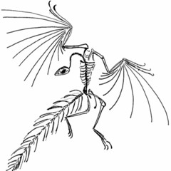 ARCHAEOPTERYX, for flute and piano