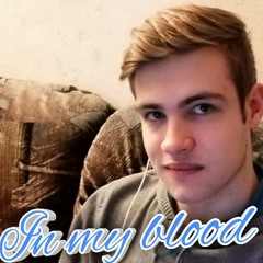 In My Blood (Shawn Mendes cover)
