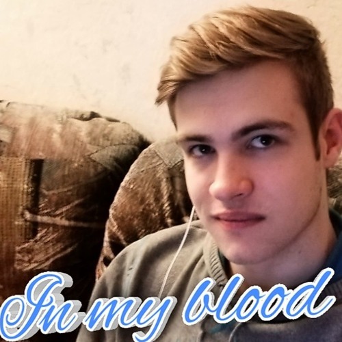 In My Blood (Shawn Mendes cover)