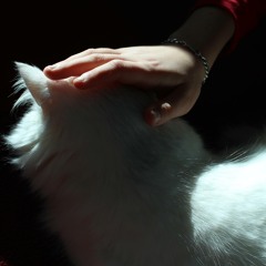 Video Games On A Sunny Day