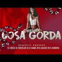 El Kamel X Chocolate X X El Bacoco X El Nandiva X El Chulo - Cosa Gorda ( Official Remix )
