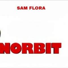 @SamFloraa - NORBIT* (prod. lybandz)