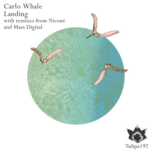 Carlo Whale - Landing (Original Mix)