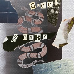 YL Vision - Gucci Snake