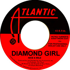 Nice & Wild - Diamond Girl (Petko Turner's Kraftwerk Edit) Free Masterpiece DL