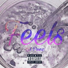 Feels (ft. Zane Myers) [prod. Greko]