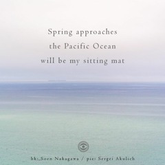 Spring approaches / the Pacific Ocean / will be my sitting mat (naviarhaiku221)