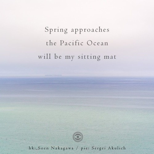 Spring approaches / the Pacific Ocean / will be my sitting mat (naviarhaiku221)