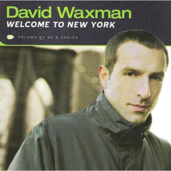 588 - David Waxman - Welcome To New York: NY01 (2001)