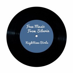 Nighttime Birds (FMFS version) (jazz electronic soundtrack ambient atmospheric piano)