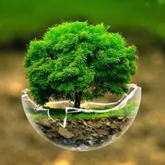 Jose Gonzales - Down The Line (Cover)