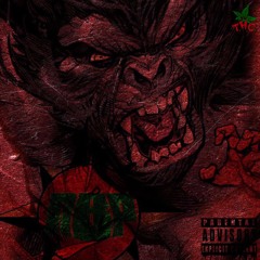NBP- GORILLA GRODD (Prod. By KeyMajors)