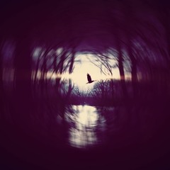 Never Enough (prod. 하루 히)