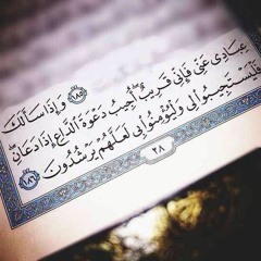 II من أجمل التلاوات - القارئ عمير شميم - من سورة البقرة