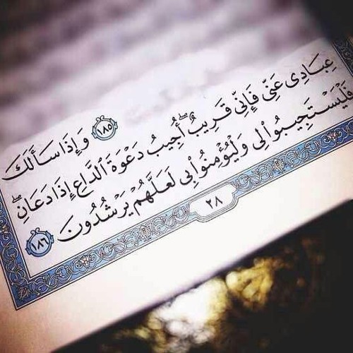 II من أجمل التلاوات - القارئ عمير شميم - من سورة البقرة