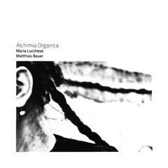 Alchimia Organica - Theremin/ Kontrabass