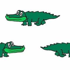 D-Day (King Gizzard & The Lizard Wizard and Mild High Club Cover)