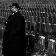 Loungin' in Paradise