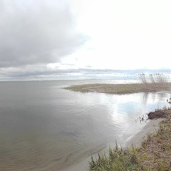 Pół kroku stąd( z filmu "Vaiana: Skarb oceanu")