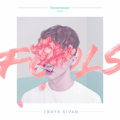 Troye Sivan - Fools (Sweetshirt Remix)