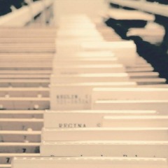 Wenn du nur dich selbst zitierst - die passende Playlist(#130)