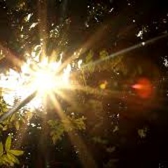 Teddy Walton Type Beat | Chorus