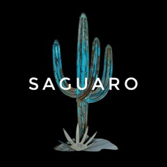 Saguaro (Prod B. Young)