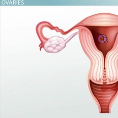 GIRL (I like your butt) - Yaholo & Lil' snick snak (aka rappy) feat. Mc Ba