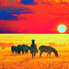 March Set (Afrotech)