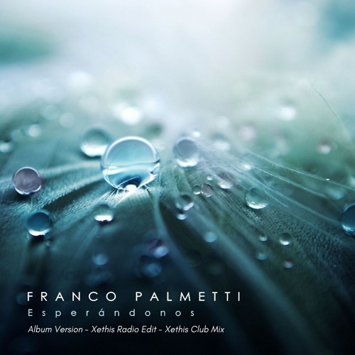 Franco Palmetti - Esperándonos