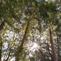 It's too late I'm going down # md