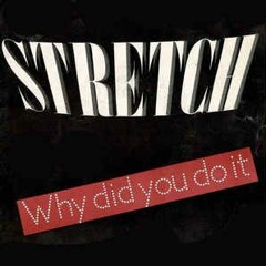 Stretch - Why Did You Do It? (Steppin' Tones Remix)