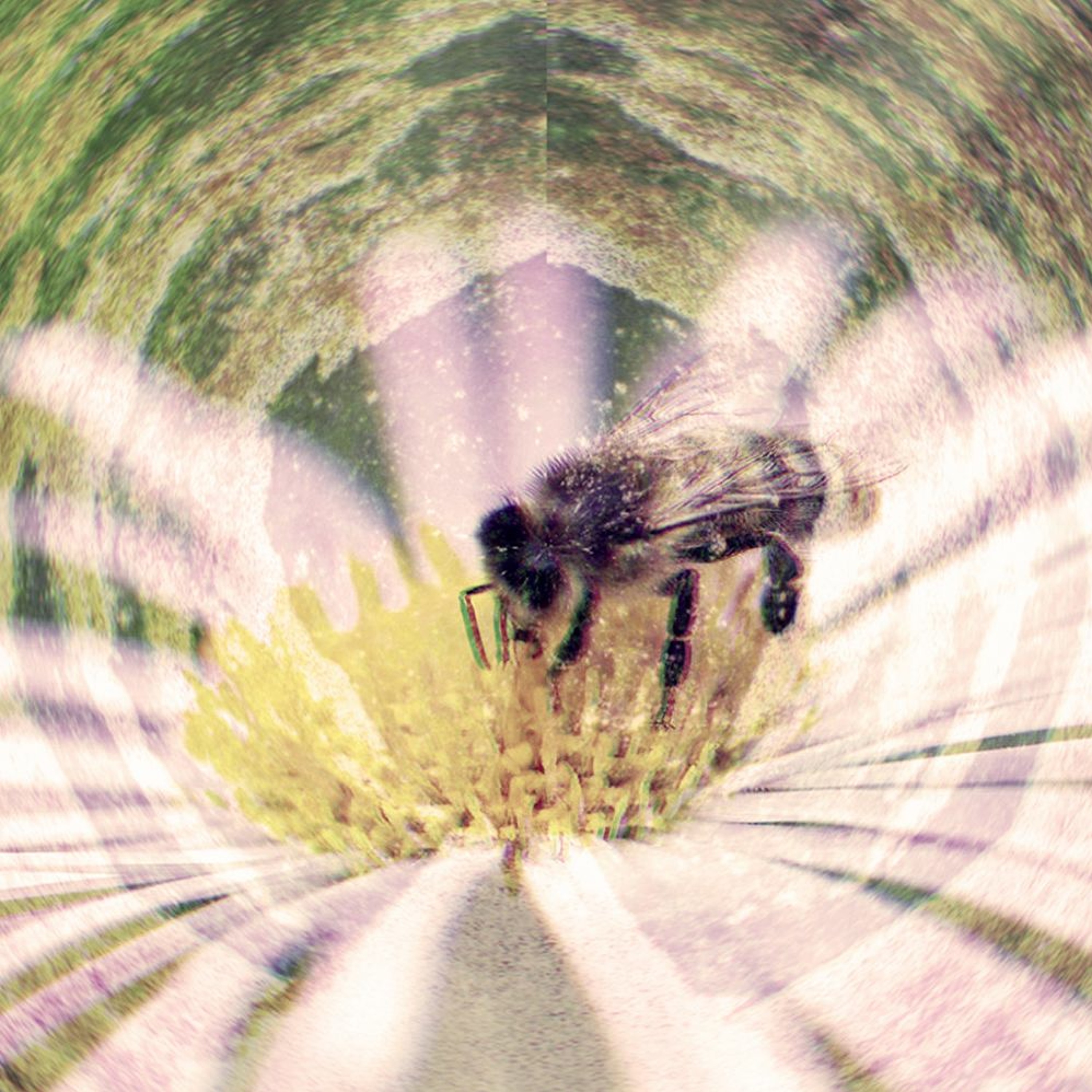 Starpilot - Hymenoptera episode artwork