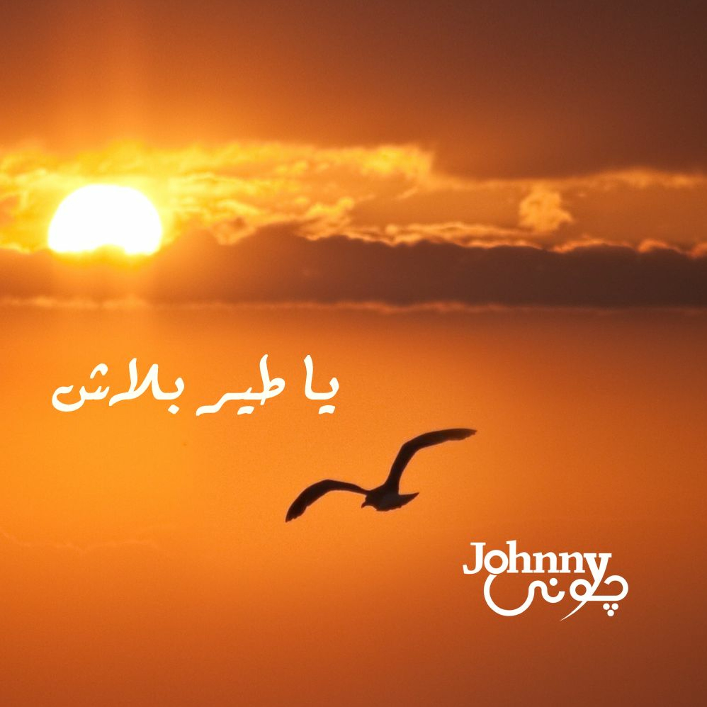 يا طير بلاش - جوني episode artwork