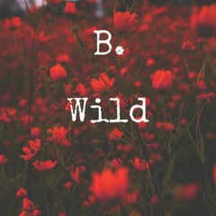 B. Wild (prod. Zero x Encore)