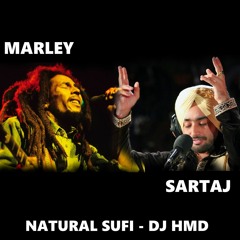 NATURAL SUFI - DJ HMD | BOB MARLEY | SATINDER SARTAJ