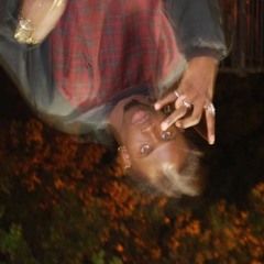 Dulce Flex - No Friendly Fanny (@bbasedtj)