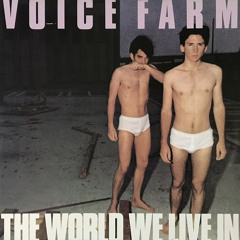 Voice Farm - Voyeur (Remastered)