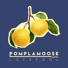 Pomplamoose --Live--