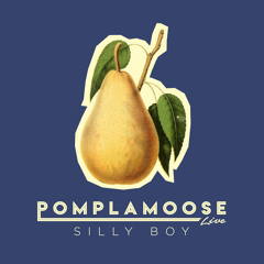 Pomplamoose - Silly Boy