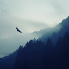 Hallelujah for Mother Earth (Adapted cover by Leonard Cohen)