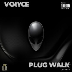 PLUG WALK COVER