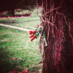 When The Day Is Done