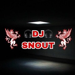 Policeman Vs Get Low Vs Turn Down For What Vs Outta Your Mind Vs Bumaye [DJ SNOUT Mashup]