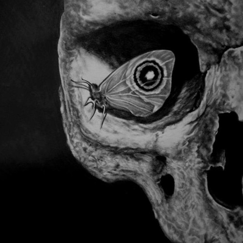 ΜΕ ΑΓΑΠΟΥΣΕΣ (X)