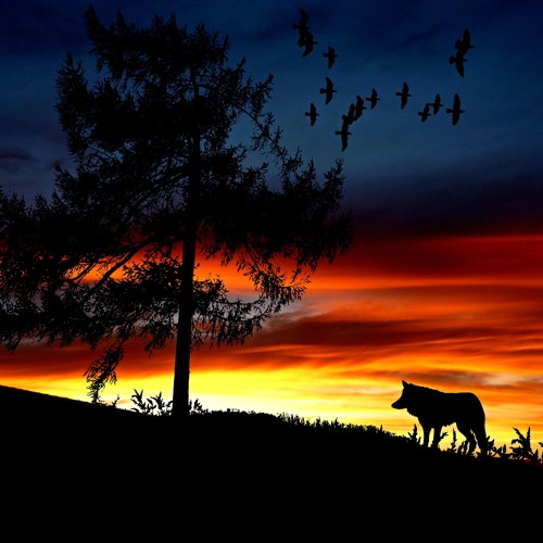 Stream Animals Maroon 5 Acoustic by Andrew Solomon Listen online