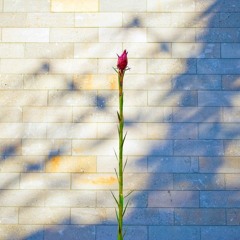 Selfish (performed by FUTURE and RIHANNA)