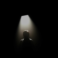 Revealment (feat. Voxlucis)