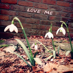 Love Me