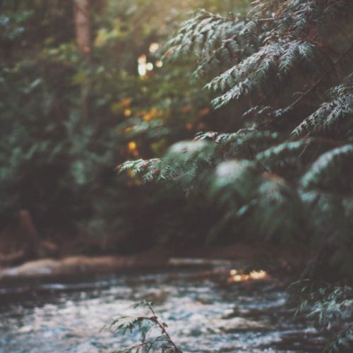 Life Is Fine Langston Hughes By Melikenurdogar On Soundcloud Hear The World S Sounds soundcloud